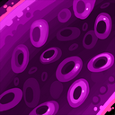 Leaky Cohesion