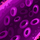Leaky Cohesion